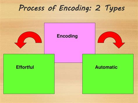 Unit 7 Ch 9 Memory Encoding Ppt Download