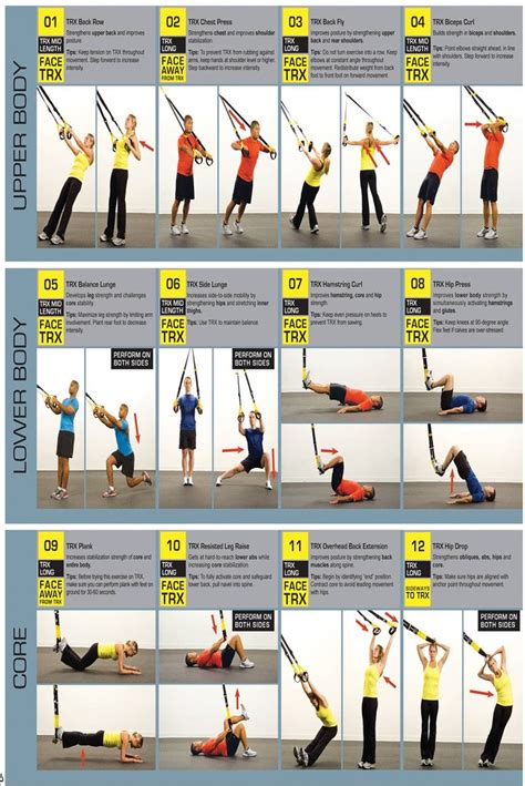 Trx Workout Routine Circuit