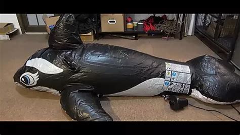 Fully Casted Mummified Girl BDSM Porn XHamster