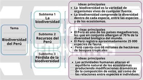 A Partir De La Lectura Del Texto Identifica El Tema Los Subtemas Las