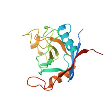 RCSB PDB 2POE Crystal Structure Of Cryptosporidium Parvum