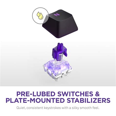 Mua Compact Tenkeyless Gaming Keyboard Gateron Red Switches Hot Swappable RGB Backlit