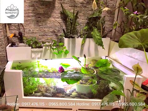 Top 50 Mẫu Bể Cá Tiểu Cảnh đẹp Nhất