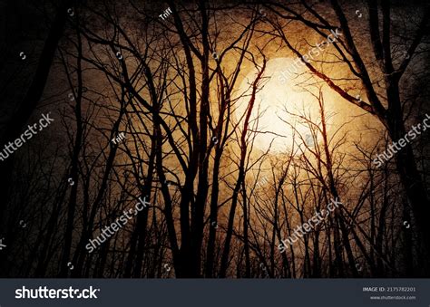 Gothic Vintage Background Silhouette Trees Against Stock Photo ...