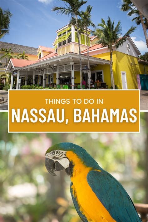 6 Interesting Facts About The Bahamas Artofit