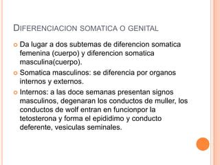 Diferenciaci N Sexual Ppt