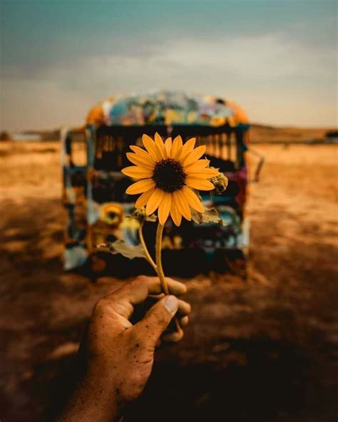 Sunflowers Ithem On Instagram Feliz Domingo Querido Dios