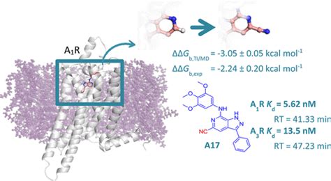 Adenosine Receptor Structure