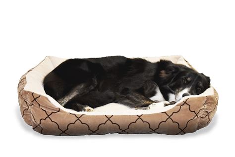 Orthopedic Dog Beds Review-2019 Best Orthopedic Dog Bed For Older Dogs ...