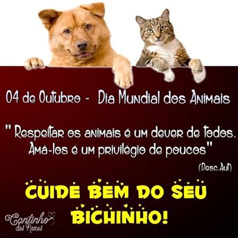 Bibi Leitura De Outubro Dia Mundial Dos Animais