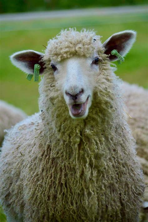 Potential spin offs for lincoln the 100 are being debated 6