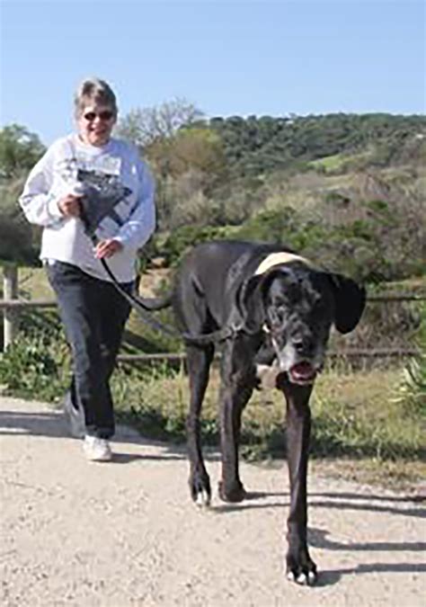 Dog Jog Finds New romping Grounds • Paso Robles Press