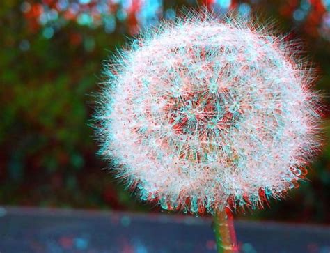 Красивые картинки для 3D очков (30 картинок) ⚡ Фаник.ру