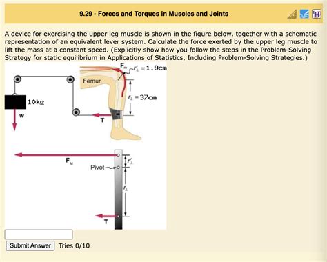 Solved 9 29 Forces And Torques In Muscles And Joints A Chegg