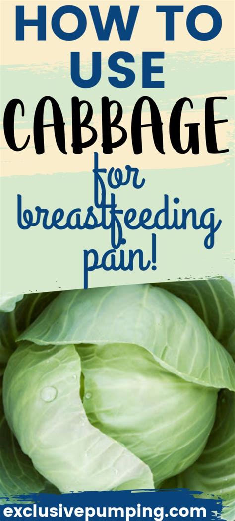 How To Use Cabbage Leaves For Engorgement Mastitis And Weaning Breastfeeding Pain