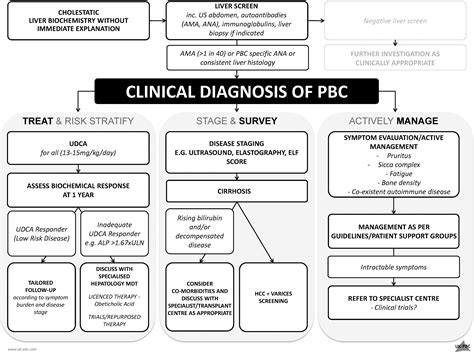 UK-PBC Care Pathway – UK-PBC