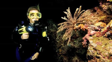 Especialidades PADI Dune Baleares Fornells Diving Center