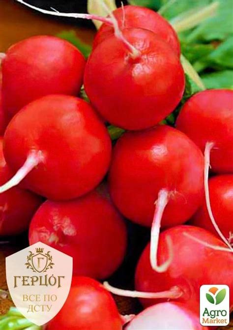 Редис "Герцог" "Гигант" ТМ "Весна" 7г купить почтой в Одессе, Киеве ...