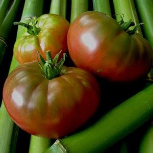 Томаты «Микадо»: характеристика и описание сорта, отзывы фото урожайность