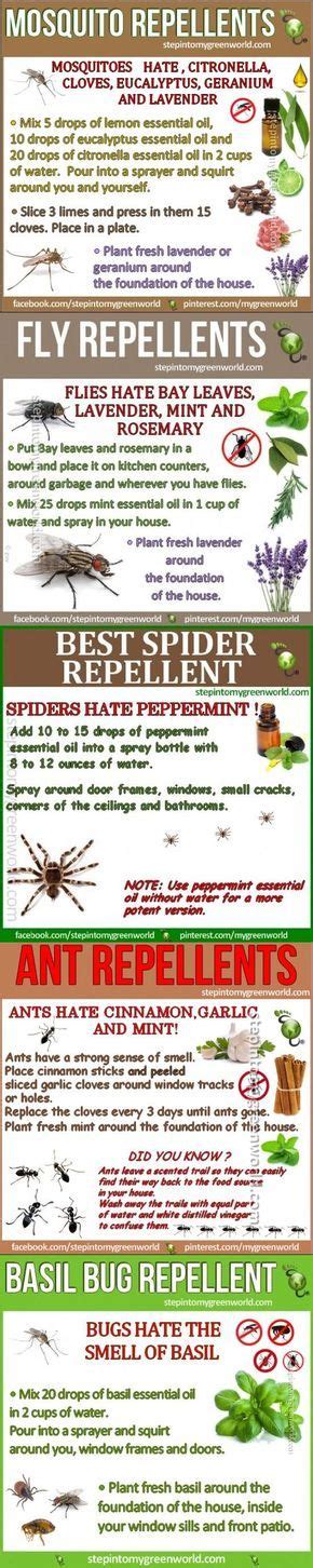 Natural Bug Repellents Infographic The Prepared Page