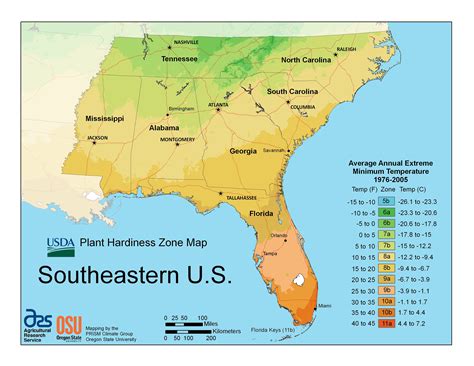 South Carolina Plant Atlas