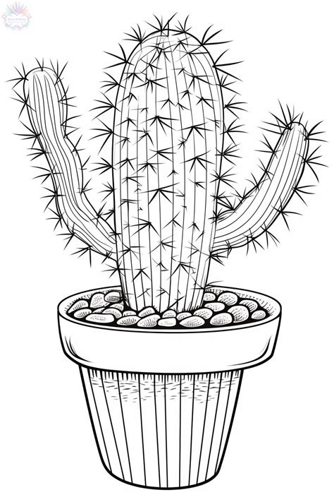 Cactos Para Colorir