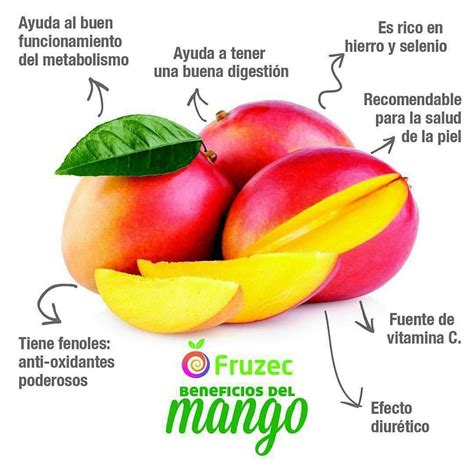 Nuestros Amigos De Fruzec Nos Muestran En Esta Interesante Infografia