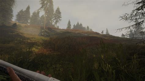 Купить лицензионный ключ theHunter Call of the Wild™ - Hunter Power ...