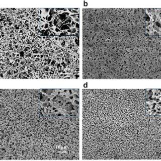 The Morphologies Of Chitosan Membranes Fabricated At A B