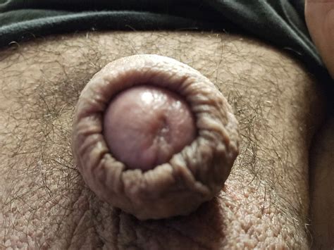 Small Guy Just Hanging Around Nude Pics Xhamster