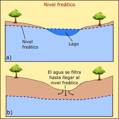 Nivel Fre Tico Qu Es C Mo Se Mide Caracter Sticas