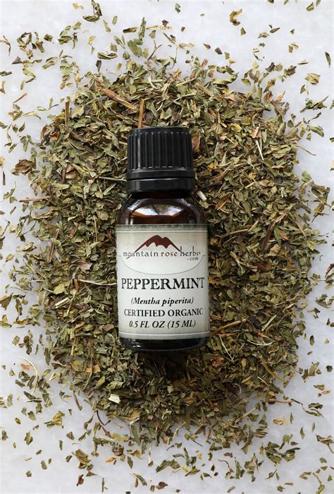 5 Must-Have Essential Oils For Aromatherapy