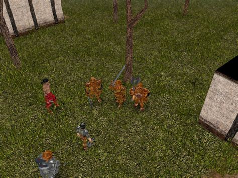 Neverwinter Nights