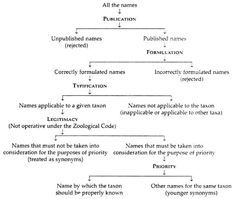 Notes on Zoological Nomenclature