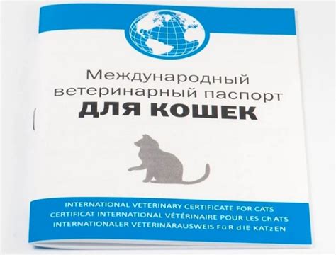Международный ветеринарный паспорт для кошек: образец заполнения, как ...