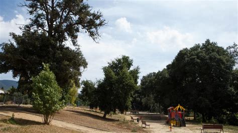 rosanes retalls dhistoria visita la garriga