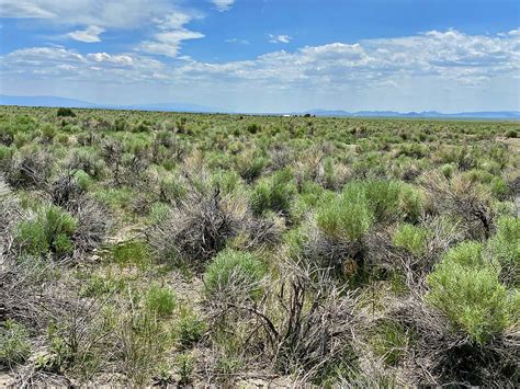 70353290 Costilla County Co