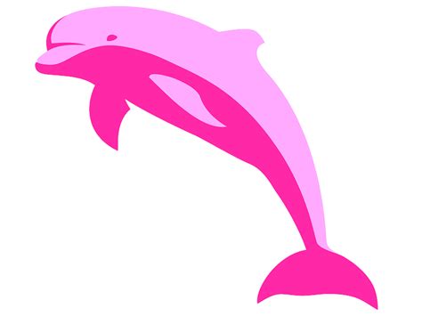 Boto Cor De Rosa Png - Boto Cor-de-rosa em png