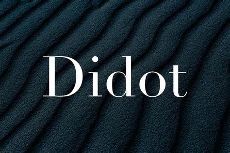 choose  didot font   fashion  branding projects hipfonts