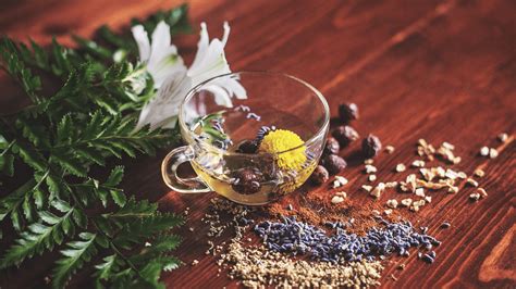 10 Powerful Herbal Remedies for Hemorrhoids: Natural Relief and Healing ...