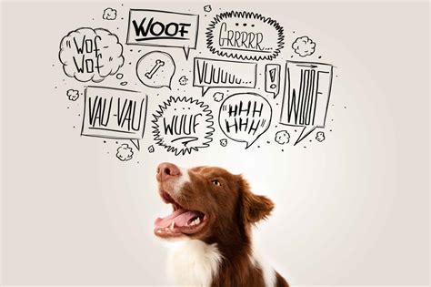 Stop Dog Barking Before It Becomes A Problem For You And Your Dog