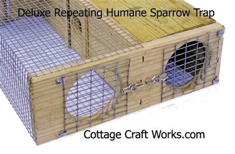 Deluxe Humane Repeating Sparrow Trap