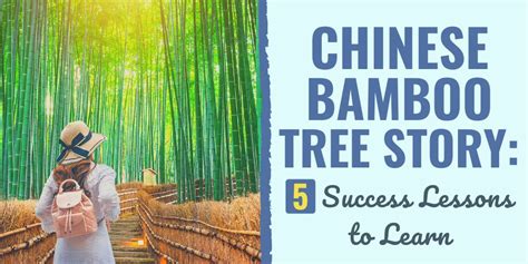 Chinese Bamboo Tree Story 5 Success Lessons To Learn