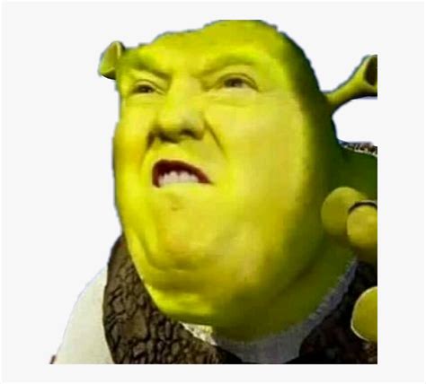 View Shrek Memes Funny Pfp Pics Factgettywindow The Best Porn Website