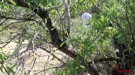 Sexo En El Campo Search Xvideos