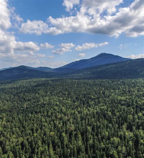 Strogi Prirodni Rezervat Prašuma Lom Parkovi Dinarida
