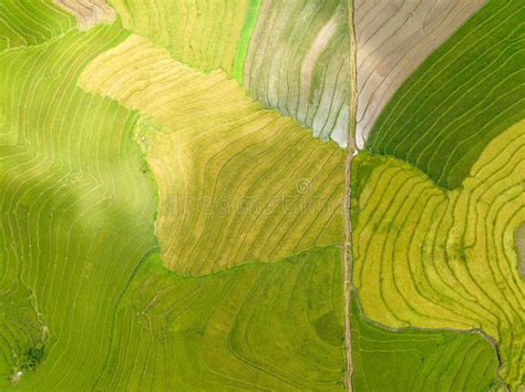 Farmland In The Philippines Stock Photo Image Of Rice Agriculture