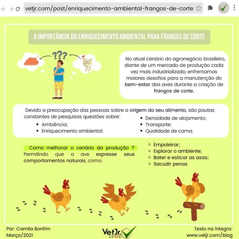 A importância do enriquecimento ambiental para frangos de corte