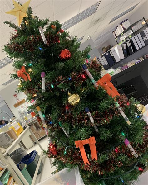 lab christmas tree rlabrats
