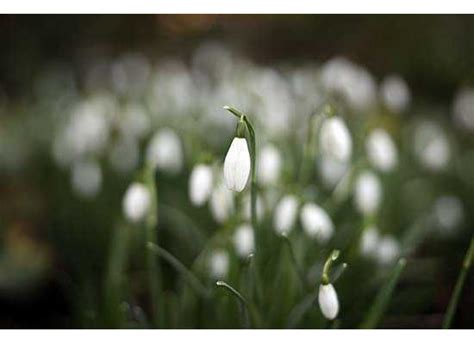 Canon RF 28-70mm f/2 L USM Sample Images | Photography Blog